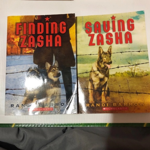 Boys(tween) book bundle - Picture 4 of 4